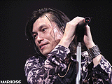 m01.gif